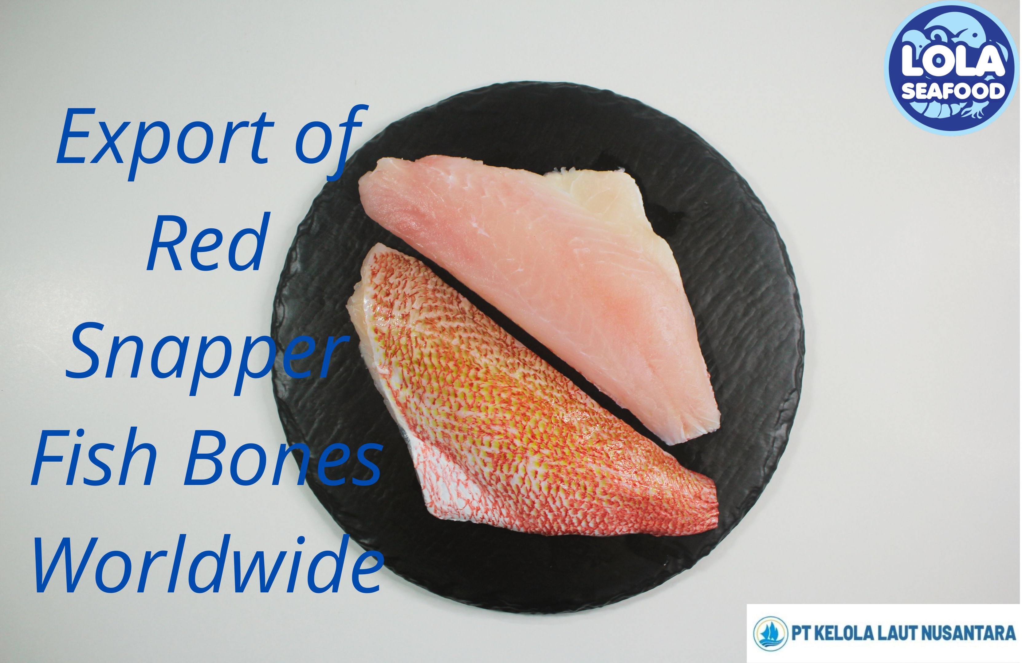 4 thing Export of Red Snapper Fish Bones Worldwide